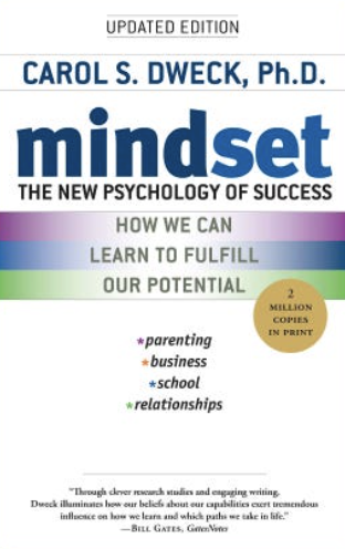 Mindset book